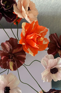 Daisy Bordeaux | Papirblomst