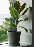 FLOWERPOT WITH SAUCER MEDIUM BLACK