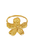 Frasia Ring