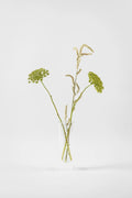 Flower Tube Vase | Transparent