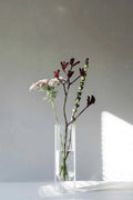 Flower Tube Vase | Transparent