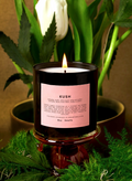 Kush Scented Candle