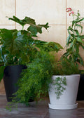 Flowerpot With Saucer X-Large Black