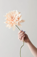 Grand Dahlia Nude | Papirblomst