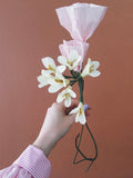 African Lily Yellow| Papirblomst