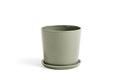 BOTANICAL FAMILY SET | LARGE | DUSTY GREEN