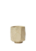 Toky Cup Cream
