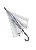 Canopy Umbrella Clear