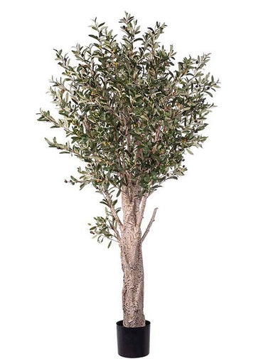 Naturtro Stort Oliventre m/bær 190cm