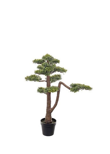 Bonsai Tre | 95cm