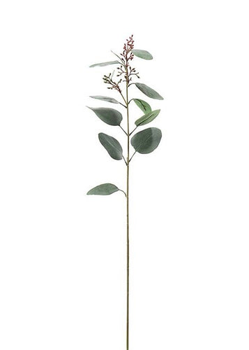 Eucalyptus Mix m/Bær