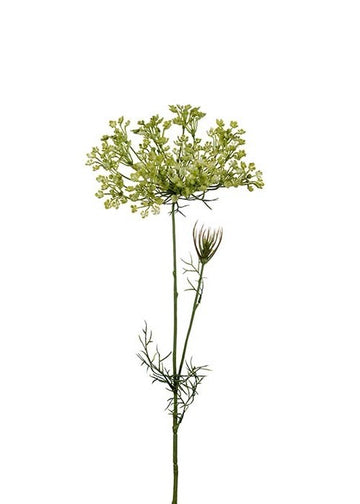 Allium Green | Snitt