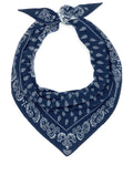 The Wild Rag Navy & Clear Sky