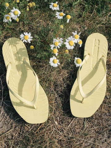 Tapered Flip Flops Mellow Yellow