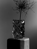 Virelle Vase - Clear
