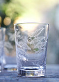 Fern Tumbler Glasses 6 pk