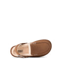 W Goldenstar Evelina Clog Chestnut