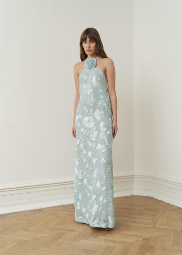 Rose Dress Light Sky