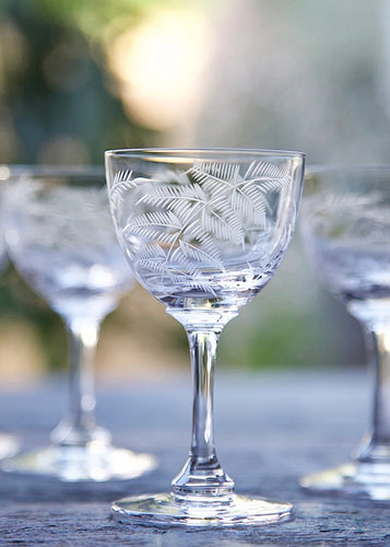 Fern Liquer Glasses 6pk