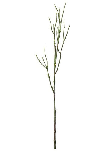 Blåbærkvist