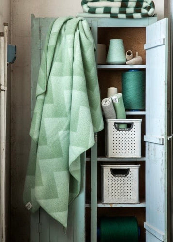 Lynild Mint Ullpledd