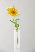 Flower Tube Vase | Transparent