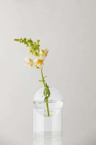 Standing Flower Tube | Transparent