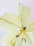 Lily Yellow | Papirblomst